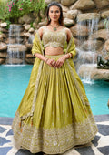 Olive green designer Chaniya Choli with heavy embroidery and dupatta
