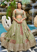 Pista green printed Chaniya Choli with heavy embroidered blouse