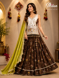 Brown embroidered chaniya choli on model